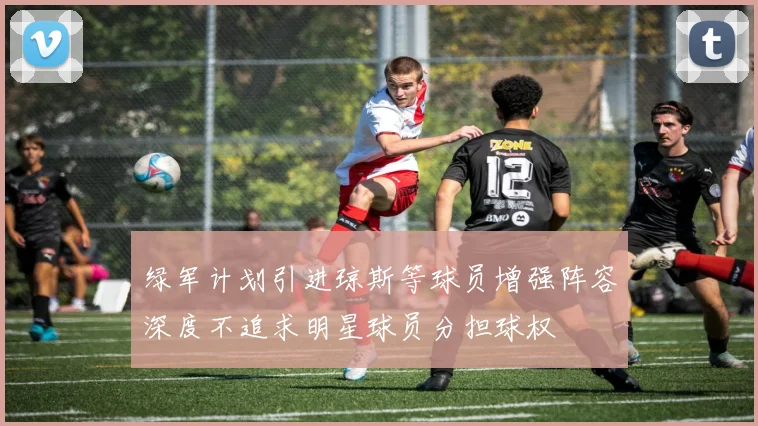 绿军计划引进琼斯等球员增强阵容深度不追求明星球员分担球权